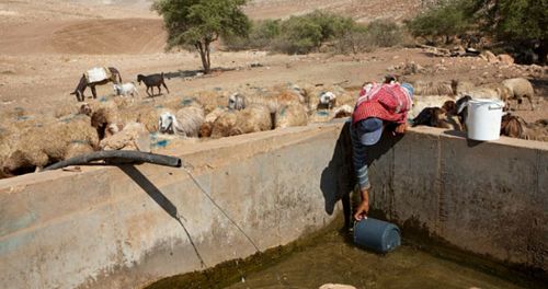 L’accès à l’eau potable est un droit humain. Alors pourquoi la Palestine est-elle une exception ?